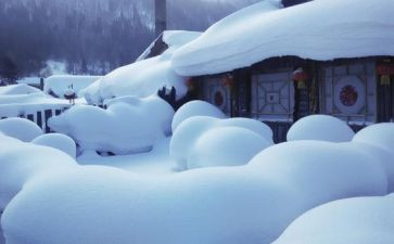 写大雪的作文600字5篇
