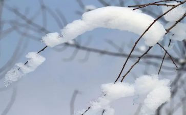 关于雪的作文作文模板8篇