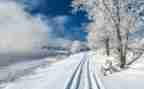 春天里的雪作文通用6篇