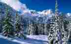 描写雪的作文600字作文模板7篇