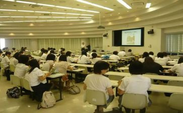 学部门工作总结6篇
