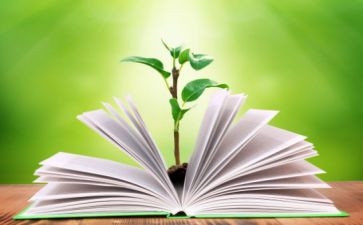 初二年级教学工作计划优质6篇