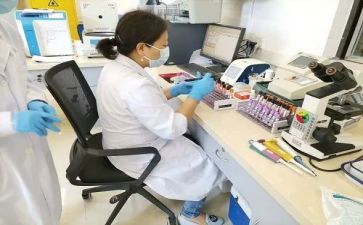 学化验工作总结5篇