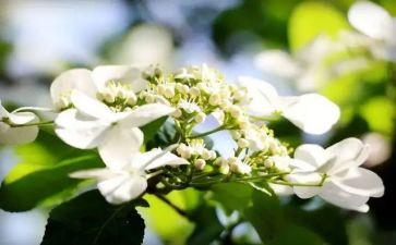 主任学年工作总结范文6篇