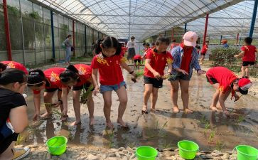 学农史心得体会优秀7篇