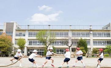 大学生实习心得范文8篇