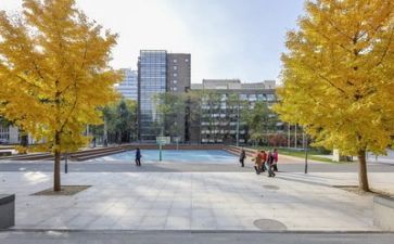 学校教研工作总结6篇