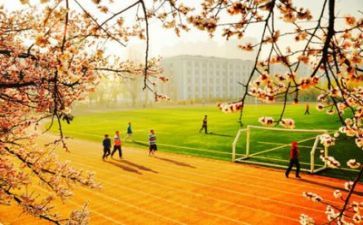 去学校实习的心得7篇