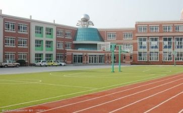 体育学校年度工作总结7篇