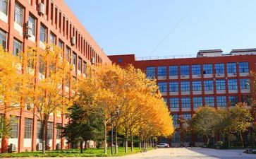 实习学校心得体会7篇