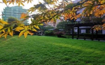 介绍学校演讲稿7篇