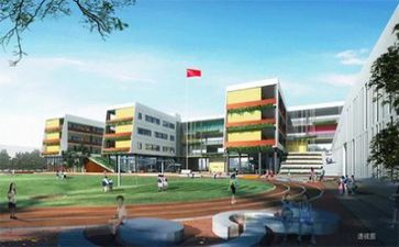 学校副校长2024年述职报告优质5篇