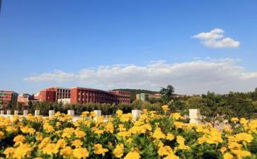 学校培训办工作总结通用7篇