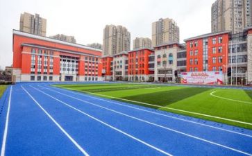 在技术学校的心得体会8篇