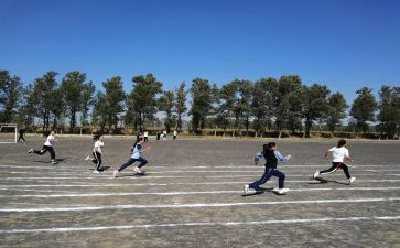 学校体育年度工作报告5篇
