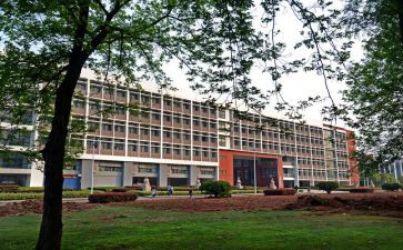 2024上半年学院工作总结5篇