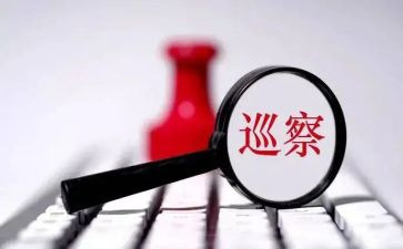 巡察组组长工作总结5篇