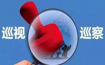 巡察组述职报告8篇