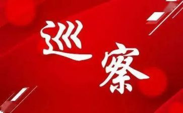 巡察组组长述职报告7篇