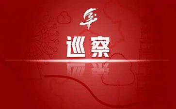 巡察组长述职报告6篇