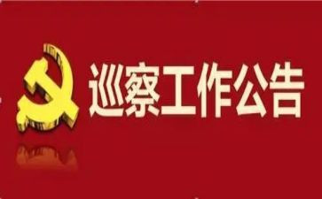 巡察组长2024年述职述廉报告6篇