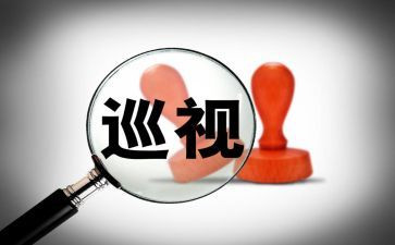 巡查员的工作总结7篇