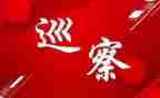 巡察干部2024年述职述廉报告7篇