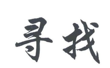 寻访青年榜样心得体会8篇