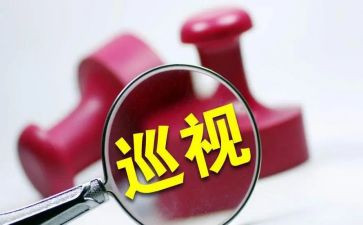 巡视班工作总结6篇