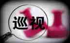 市巡视工作总结8篇