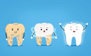 保护牙齿的活动方案6篇