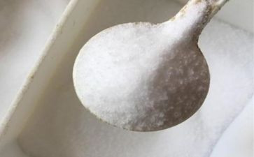 鞋子里的盐读后感5篇