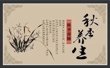 养生店的活动方案8篇