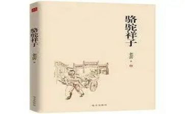 青春的样子的作文6篇