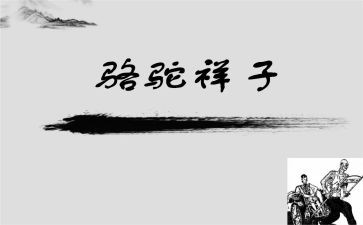 家的样子读后感精选6篇