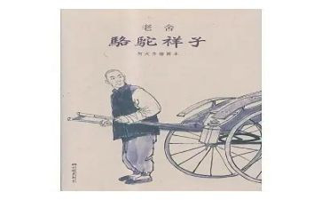 青春的样子的作文8篇