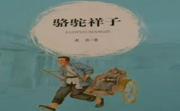 羊的样子读后感优质8篇