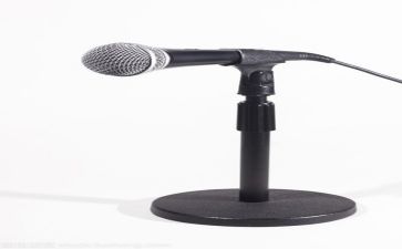 关于菊的演讲稿精选7篇