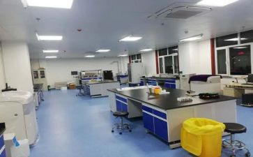 检验科述职报告7篇