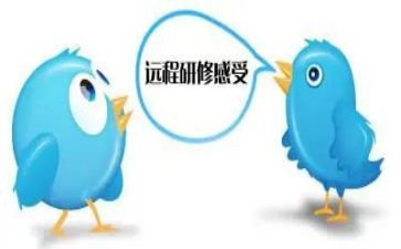 2024教师研修工作总结模板8篇