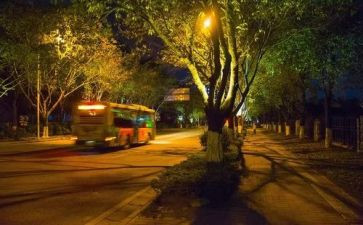 创意夜活动策划活动方案通用7篇