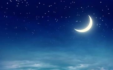 恐怖之夜作文8篇