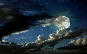 创意夜活动策划活动方案优质7篇