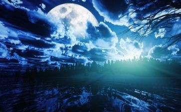 绿色的夜读后感7篇