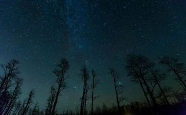 夜空作文600字7篇