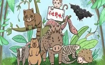 拒绝野味的作文6篇