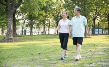 爷爷奶奶的爱作文模板7篇