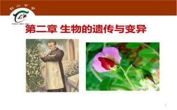 遗传与变异教案5篇
