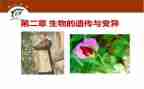 遗传与变异教案5篇