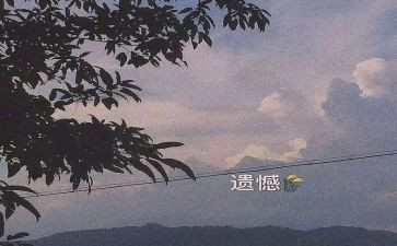 青春遗憾的作文6篇